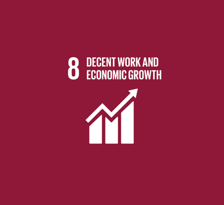 SDG 8