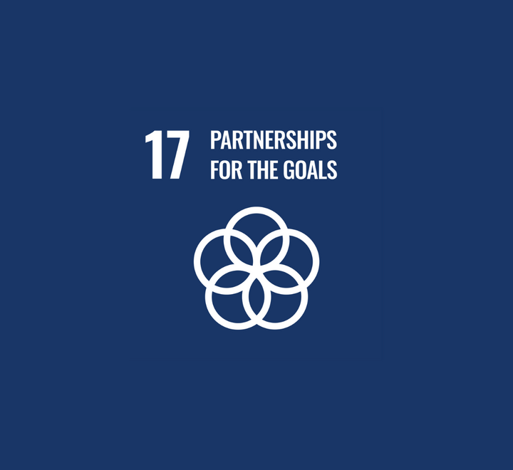 SDG 17