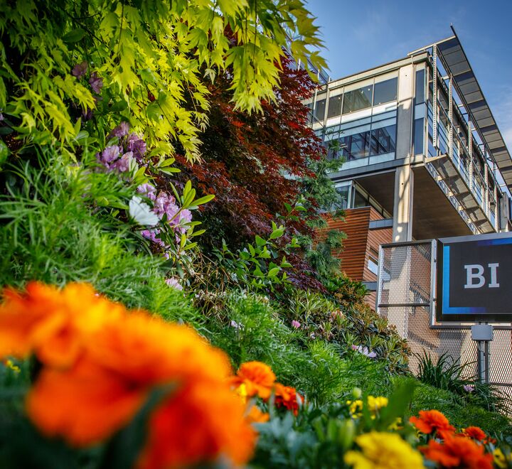 Utenfor campus Oslo. Bilde av blomster foran BI-logoen.
