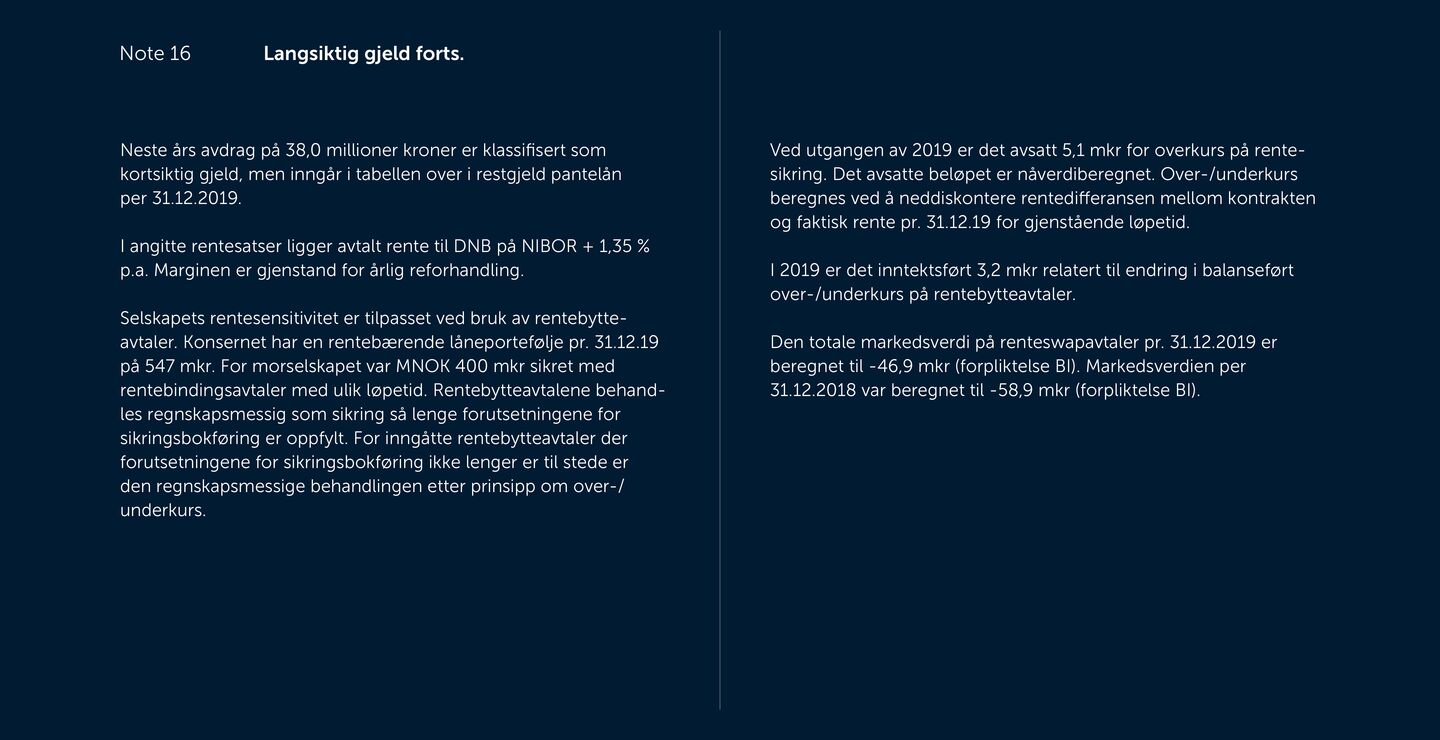 Skjermbilde av noter fra årsregnskapet 2019