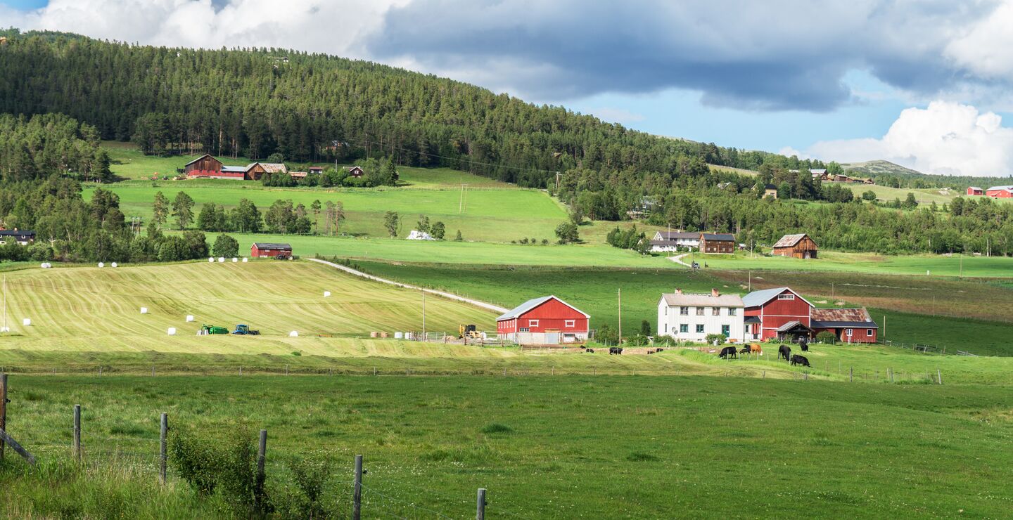 Bilde av gård