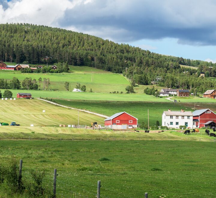 Bilde av gård