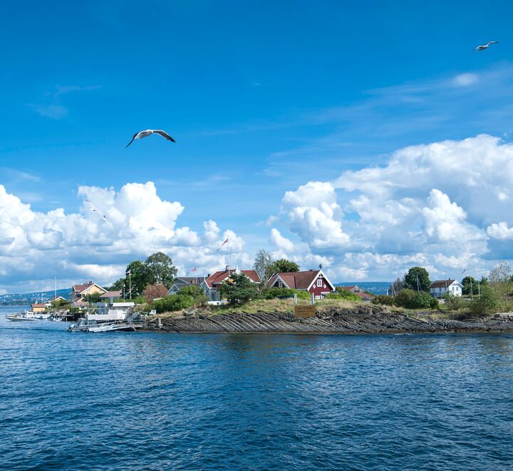 Summer in the Oslo fjord