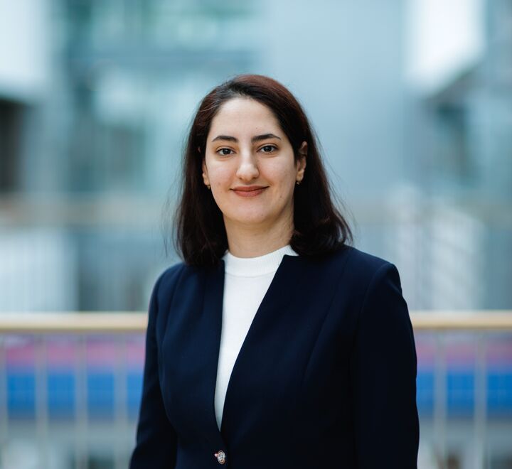 Image of Parisa Torabi