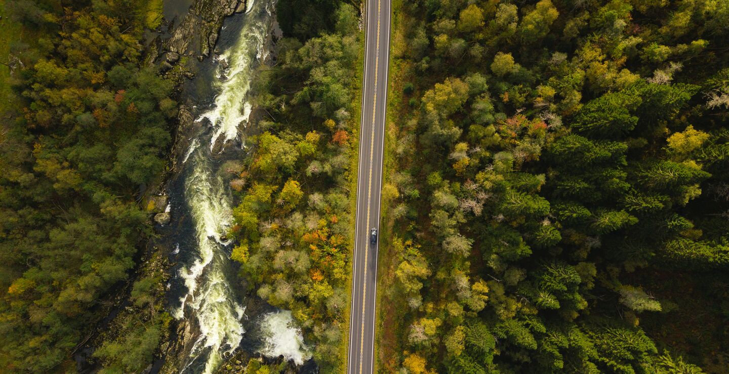 Biofuels has a limited window of opportunity to gain any ground in the market for personal vehicles in Norway, writes Atle Midttun and Knut M. Næss. Photo: Shai Pal/Unsplash