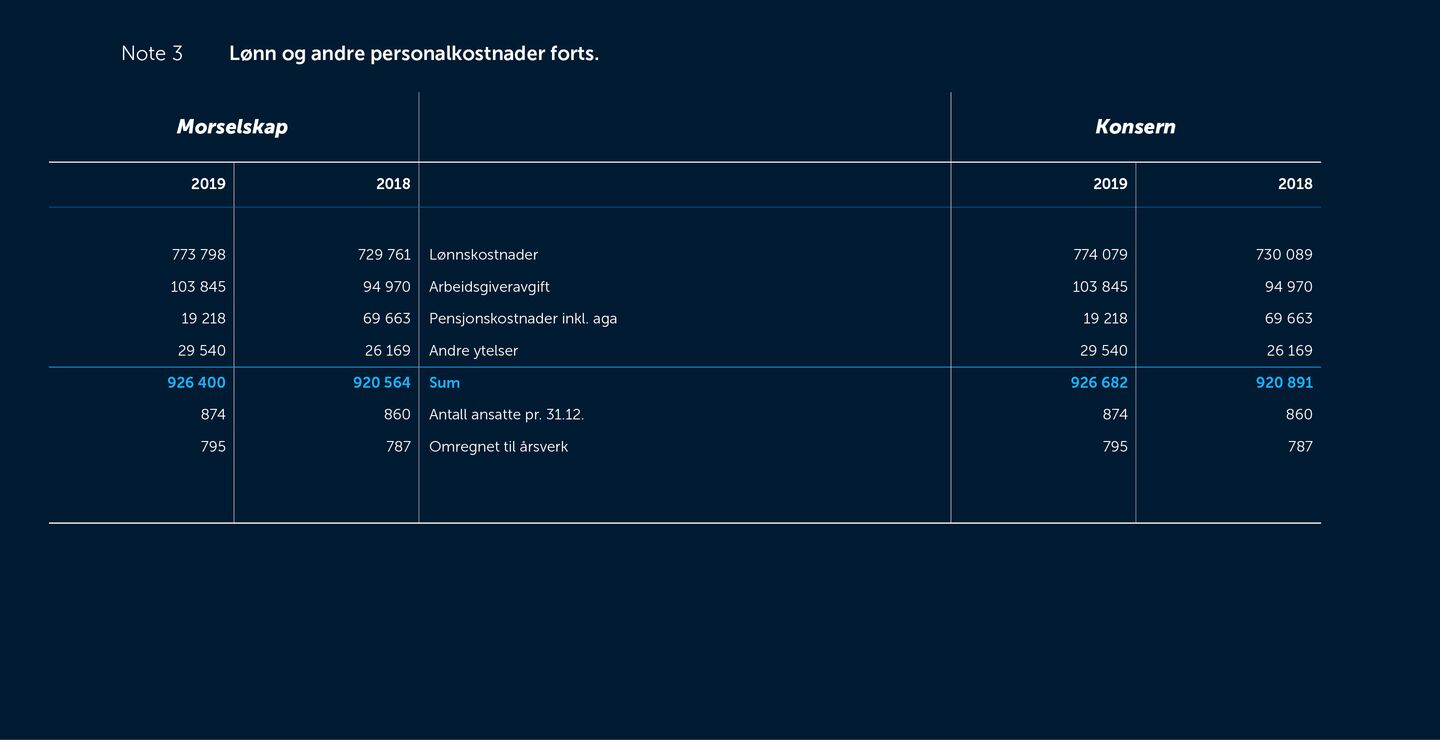 Skjermbilde av noter fra årsregnskapet 2019