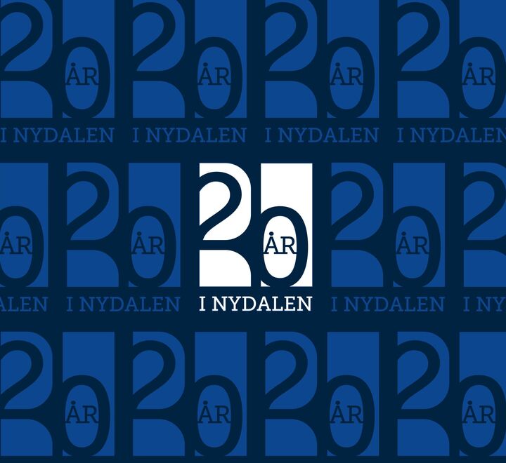 BI 20 år logo