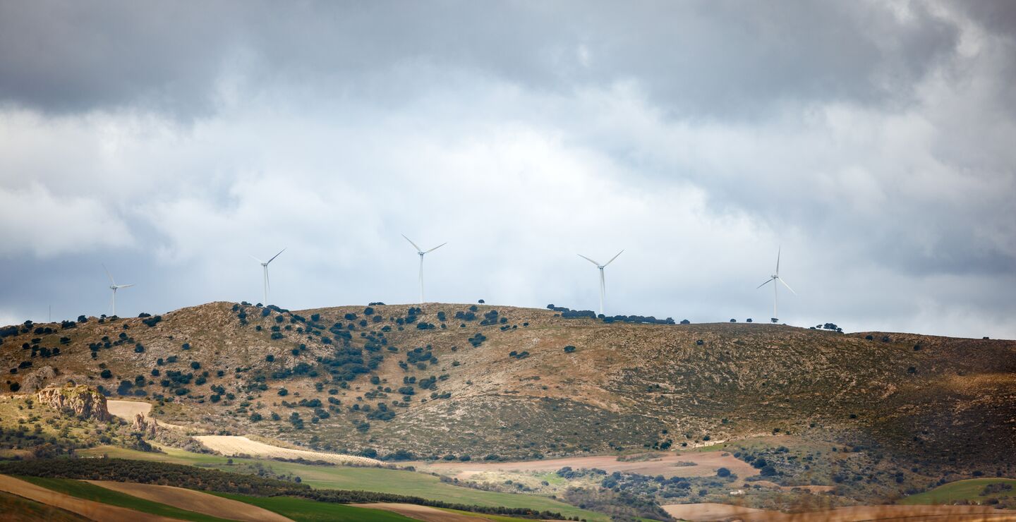 Overview of a wind farm