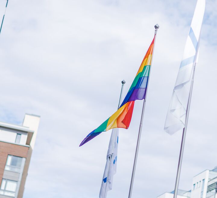 Image of the Pride flag
