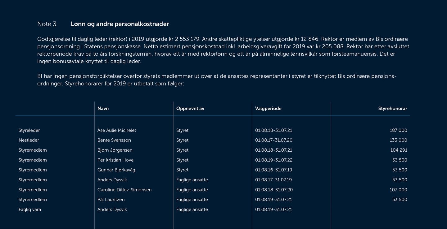 Skjermbilde av noter fra årsregnskapet 2019