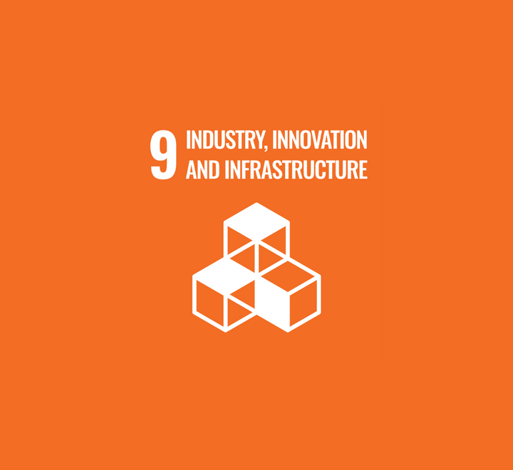 Visual figure of SDG 9