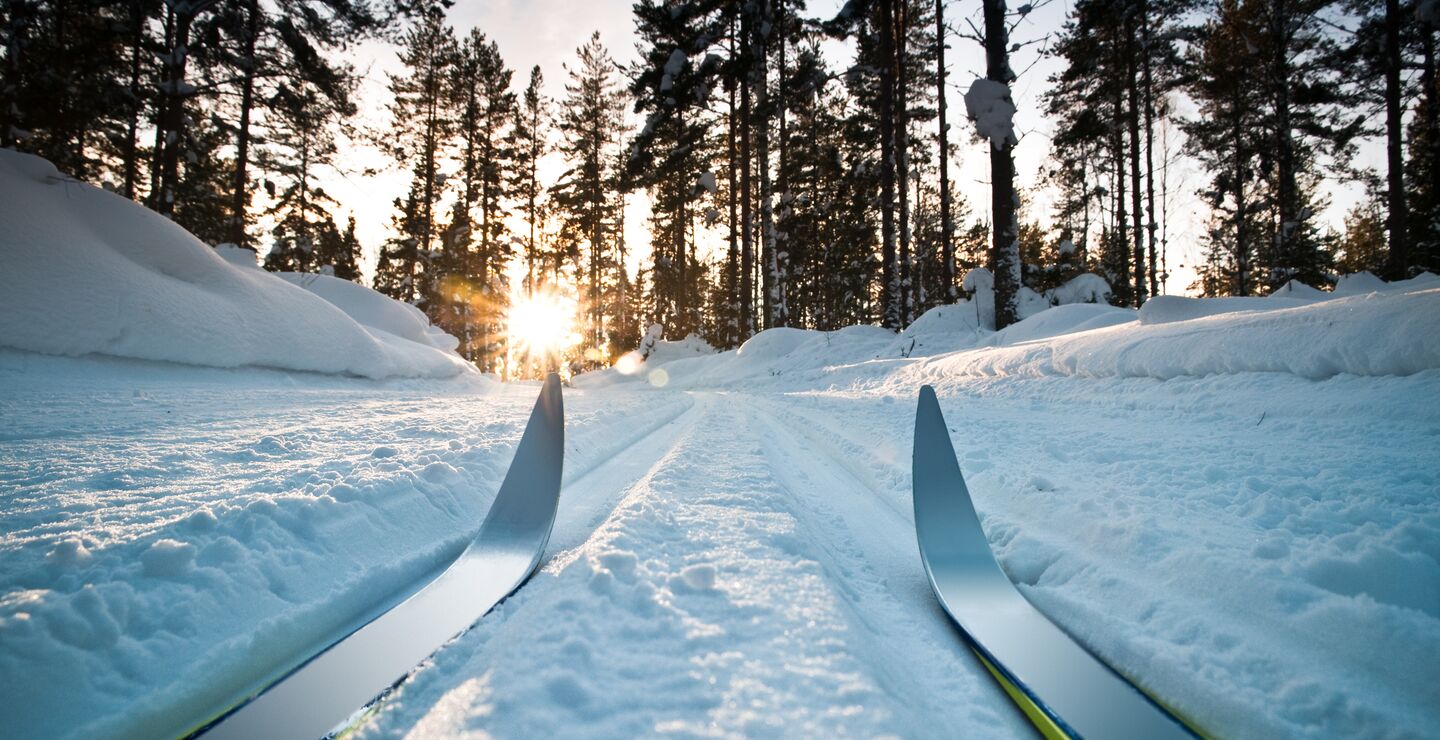 langrennski i skispor