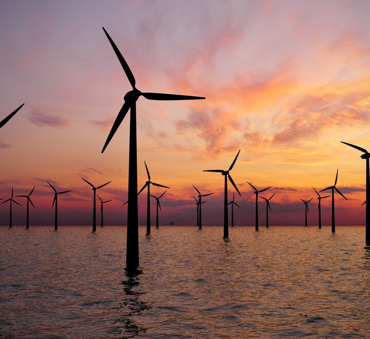 Sustainability and efficiency in Business