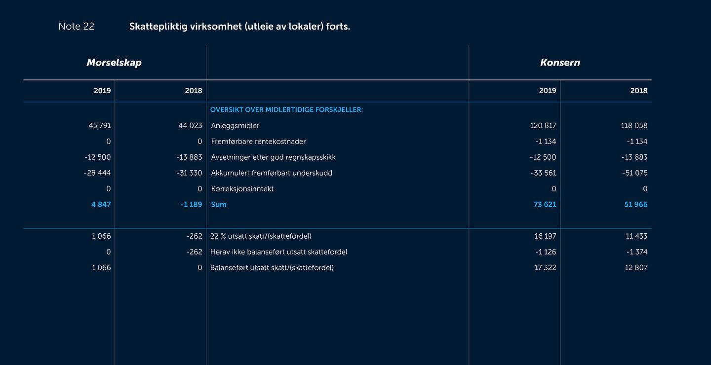 Skjermbilde av noter fra årsregnskapet 2019