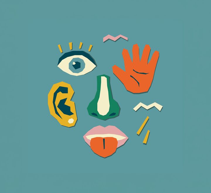Illustration of different senses