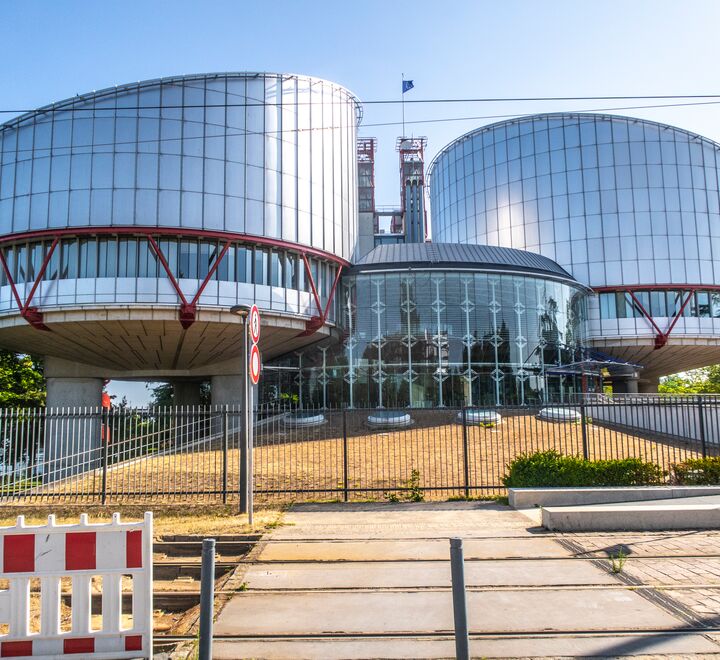 Den europeiske menneskerettighetsdomstolen