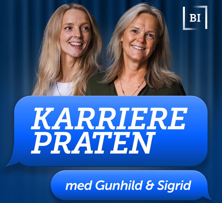 Logo til Karrierepraten