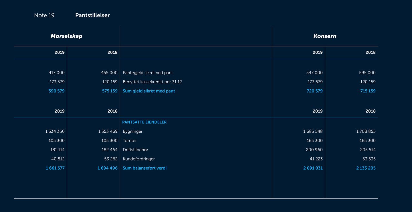 Skjermbilde av noter fra årsregnskapet 2019
