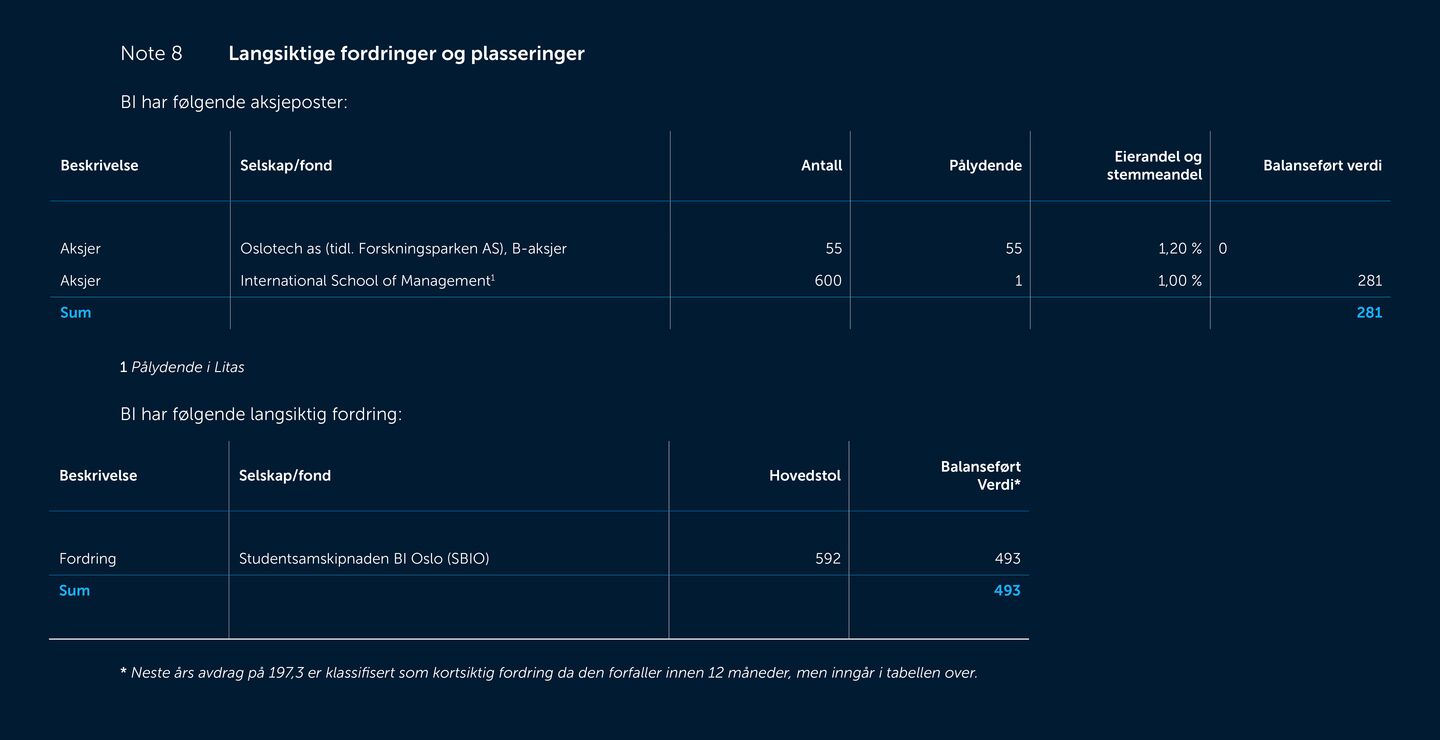 Skjermbilde av noter fra årsregnskapet 2019