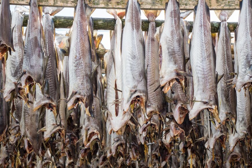 Tørrfisk som henger til tørk