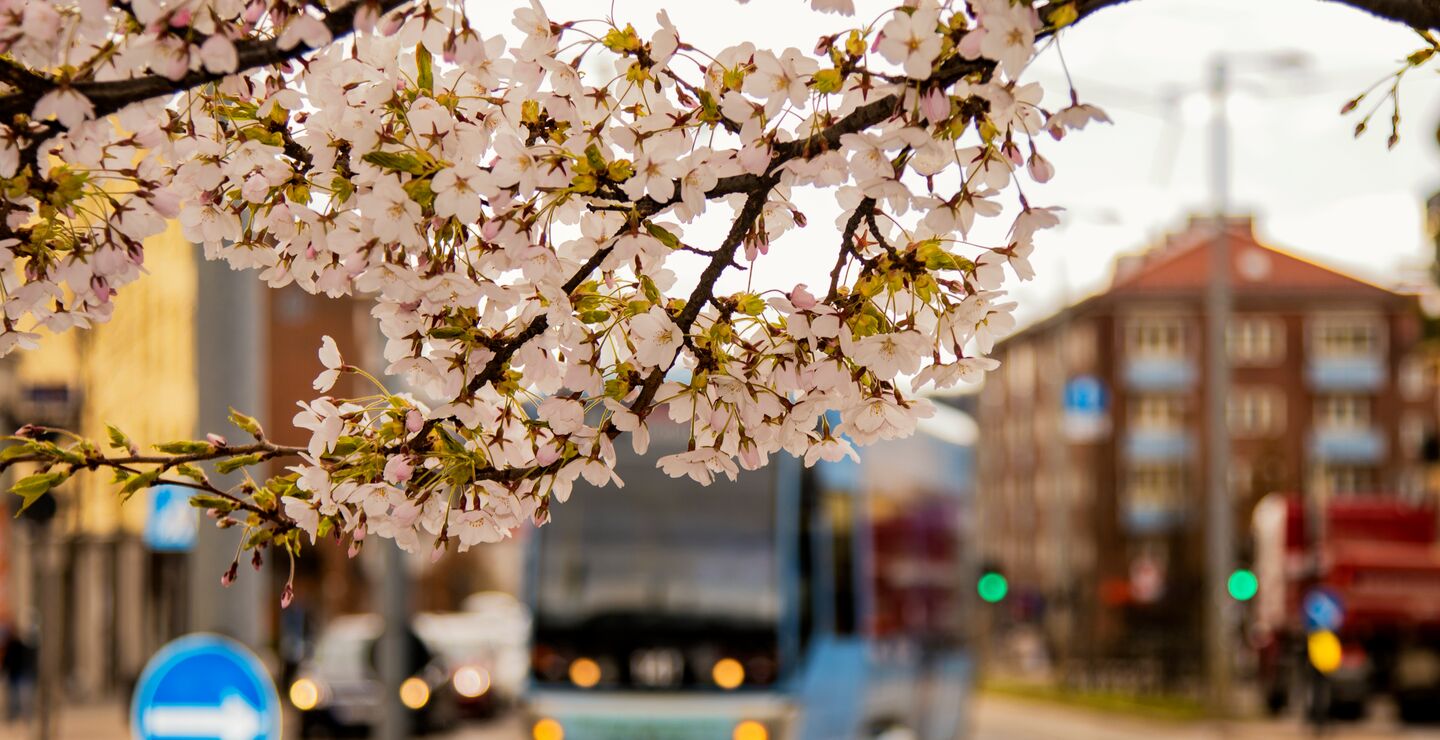 «Kanskje min bekymring for nye virus er overdreven», skriver Knut Anton Mork. «Men hvis ikke, burde vi ikke da ta en tenkepause omkring kollektivsatsing? Burde vi ikke for eksempel forske mer på flåter av selvkjørende taxier i byene? Eller satse mer på motorveier for elbiler enn på høyhastighetstog mellom de store byene?