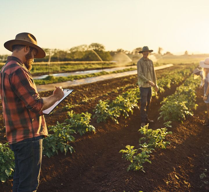 Bilde av bønder på et jorde