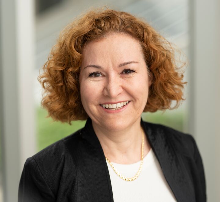 Anne Bourhis (advisor)