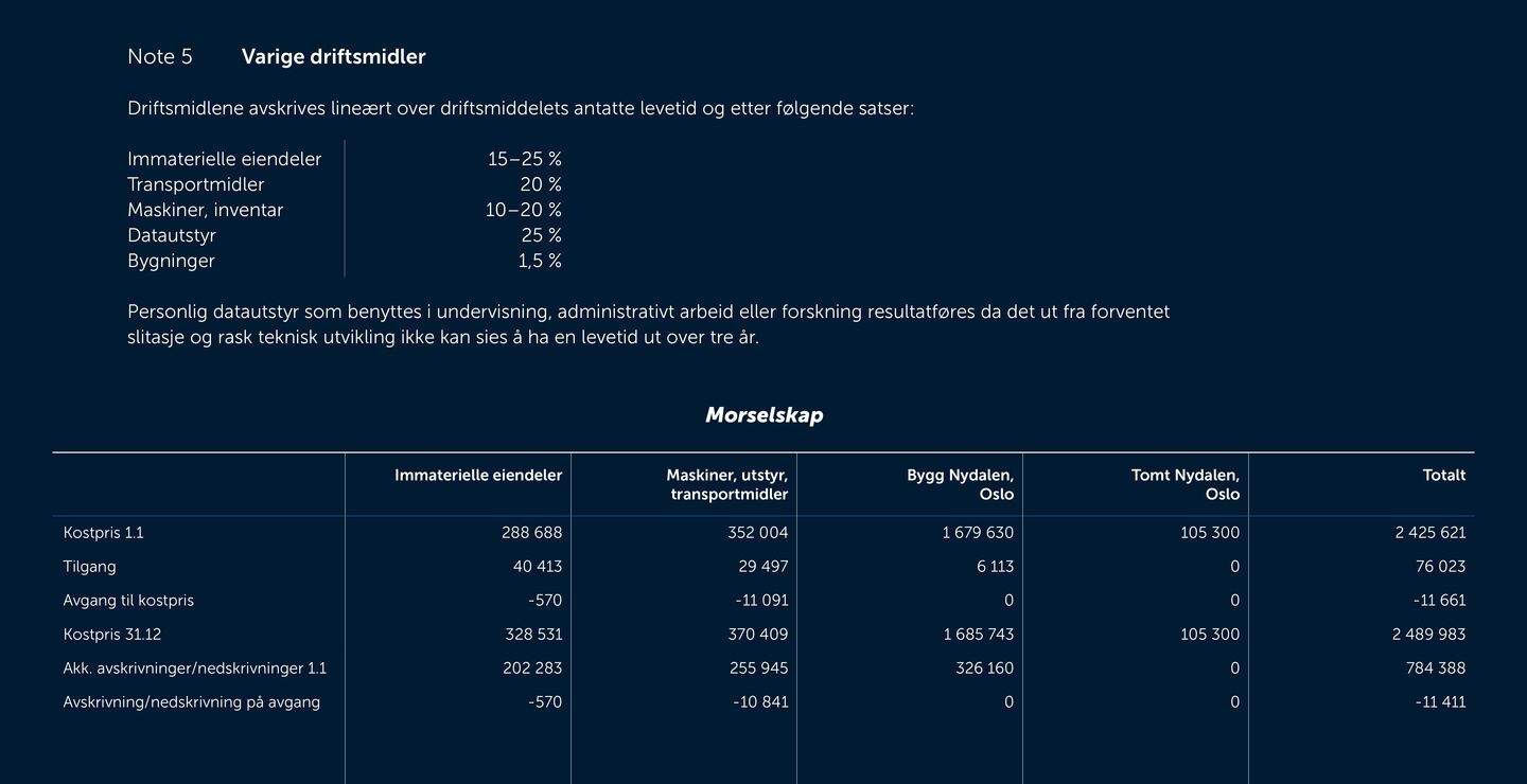 Skjermbilde av noter fra årsregnskapet 2019