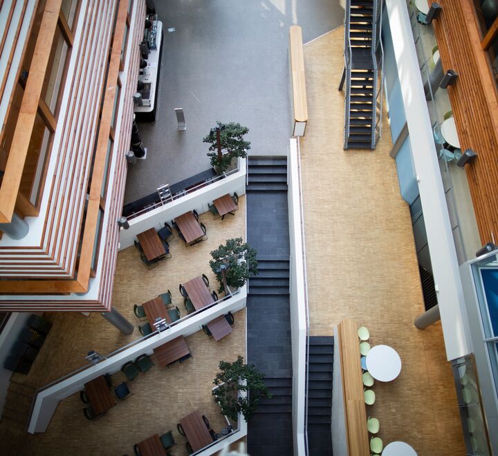 Inne på campus. Sett ovenfra.