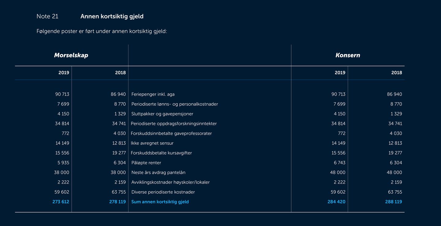 Skjermbilde av noter fra årsregnskapet 2019