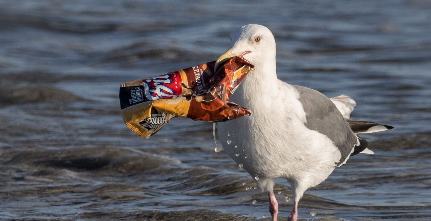 Naturskaden kan bli størst om eiere med samfunnsansvar først profittmaksimerer, og så reparerer, skriver Øyvind Bøhren i innlegget. (Foto: Ingrid Taylar.)