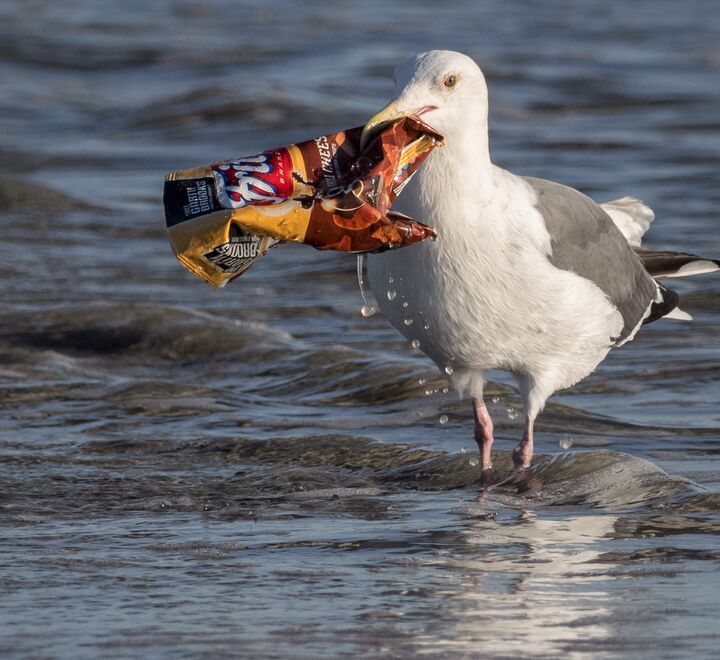 Naturskaden kan bli størst om eiere med samfunnsansvar først profittmaksimerer, og så reparerer, skriver Øyvind Bøhren i innlegget. (Foto: Ingrid Taylar.)