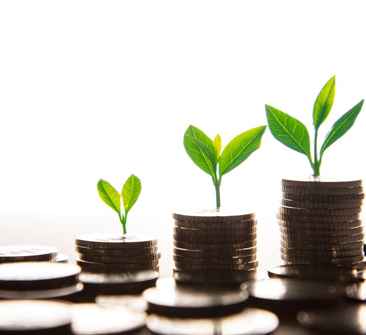 Planter vokser opp fra mynter