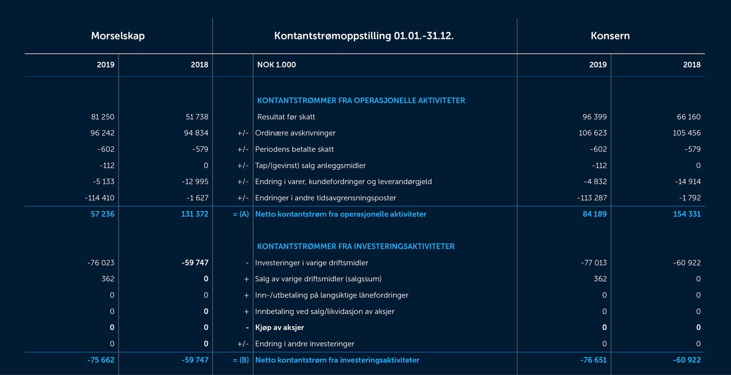 Skjermbilde av kontanstrømmen fra 2019
