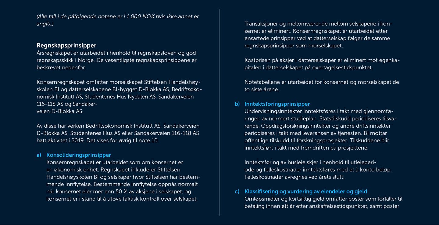 Skjermbilde av noter fra årsregnskapet 2019