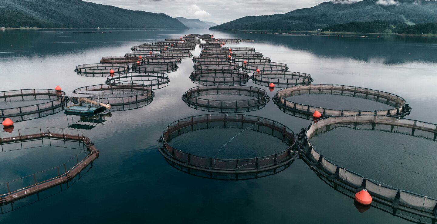 Bildet viser et oppdrettsanlegg i en Norsk fjord