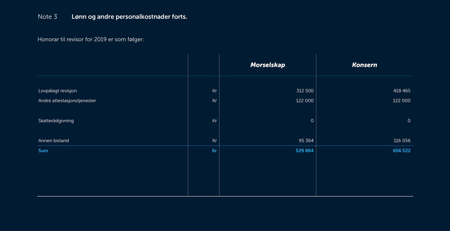 Skjermbilde av noter fra årsregnskapet 2019