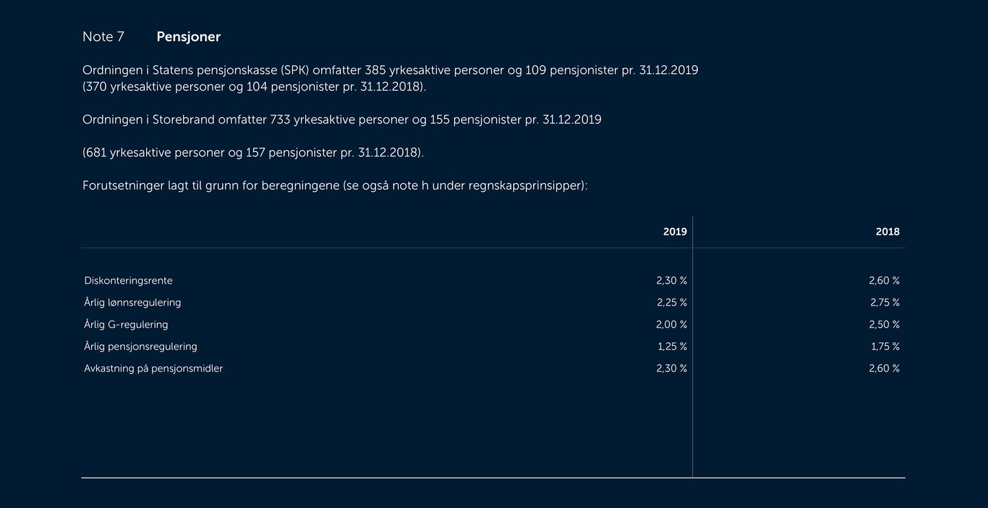 Skjermbilde av noter fra årsregnskapet 2019