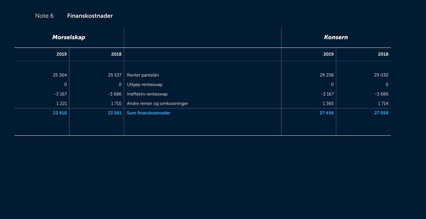 Skjermbilde av noter fra årsregnskapet 2019