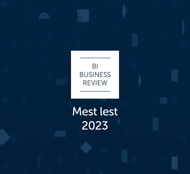 BI Business Review-logo
