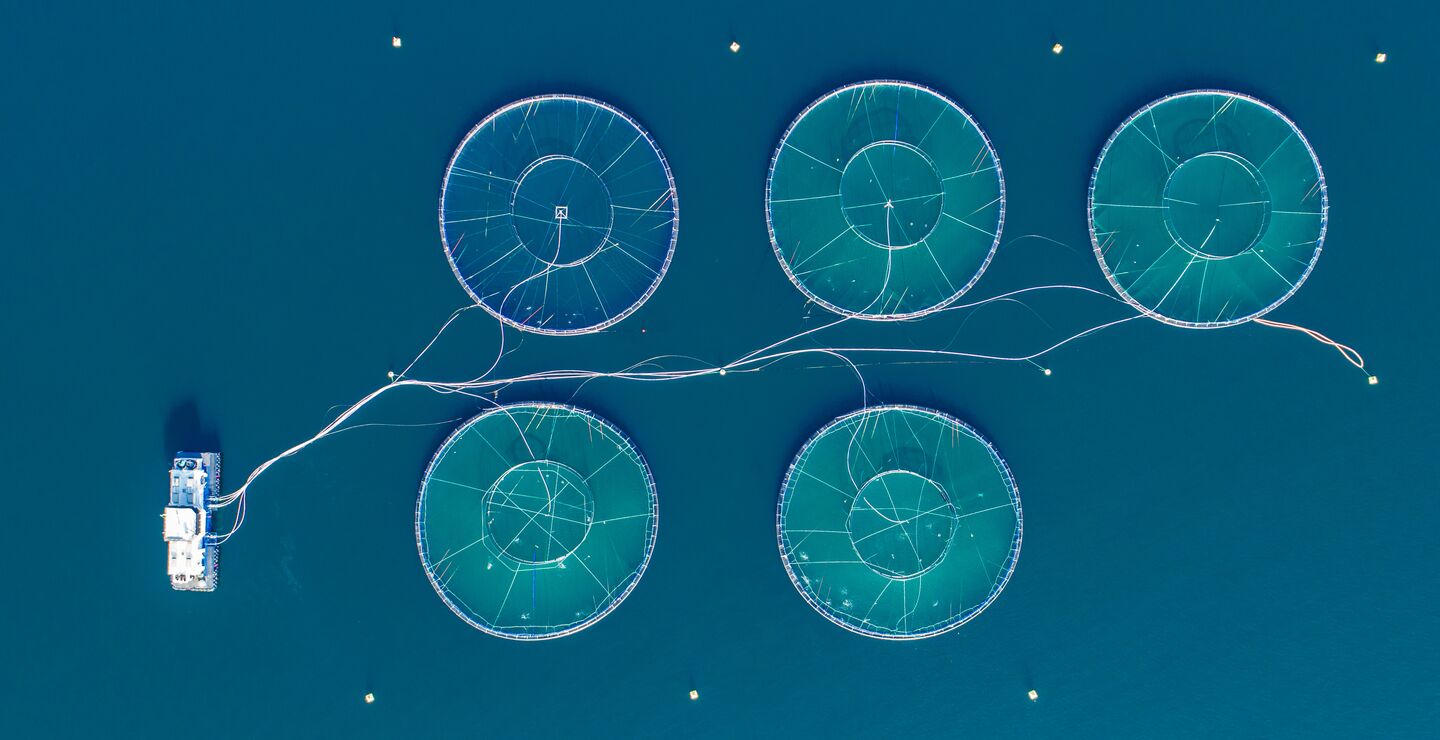 Det virker usannsynlig at formuesskatt er et vesentlig problem for lakseoppdrett i Norge, skriver Gisle J. Natvik. Her fra et lakseoppdrettsanlegg utenfor Bergen. (Foto: MariusLtu)