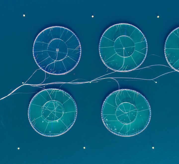 Det virker usannsynlig at formuesskatt er et vesentlig problem for lakseoppdrett i Norge, skriver Gisle J. Natvik. Her fra et lakseoppdrettsanlegg utenfor Bergen. (Foto: MariusLtu)