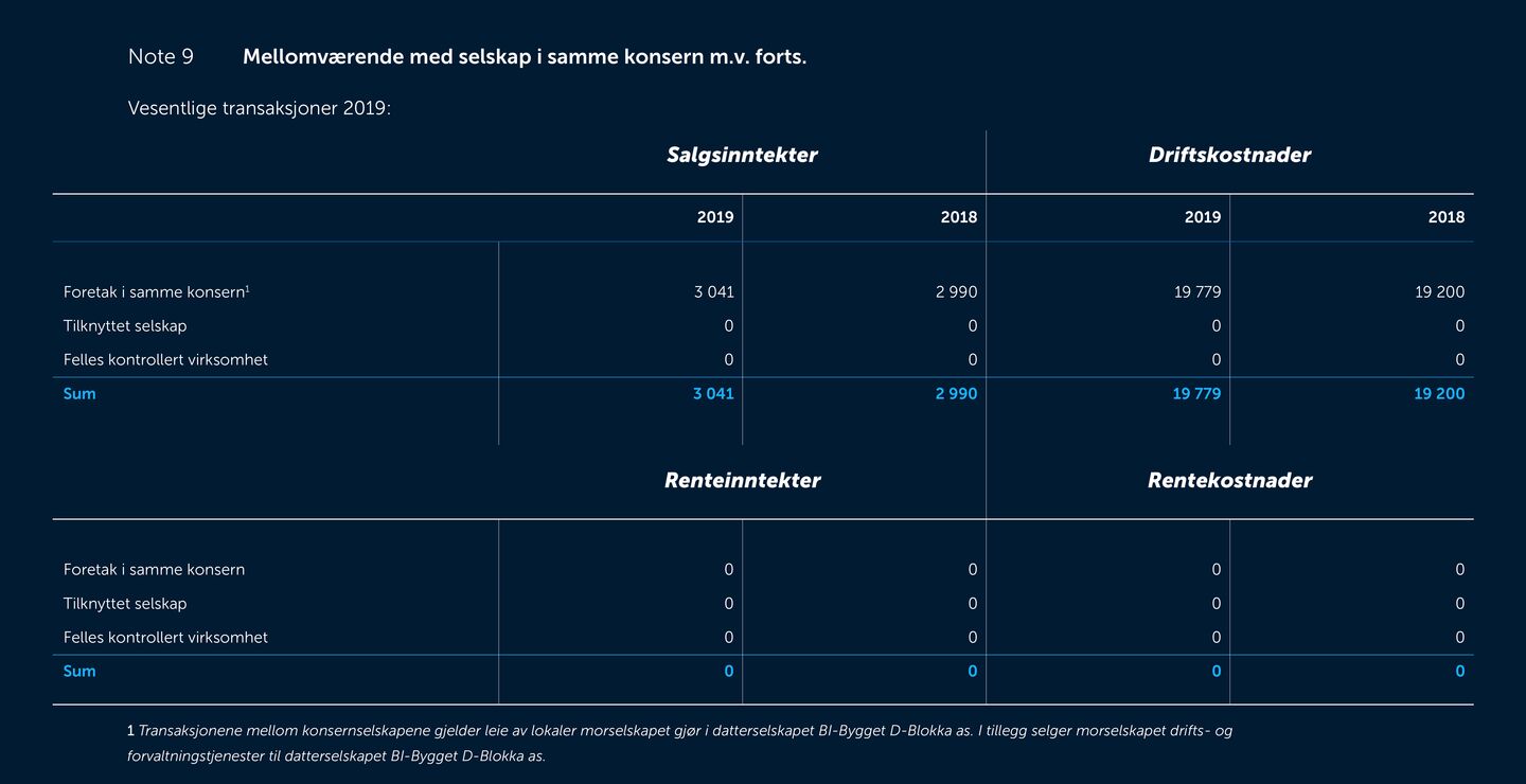 Skjermbilde av noter fra årsregnskapet 2019