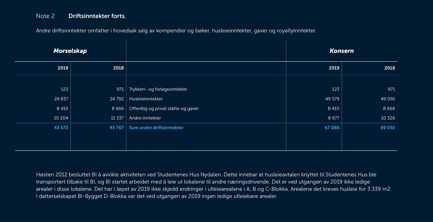 Skjermbilde av noter fra årsregnskapet 2019