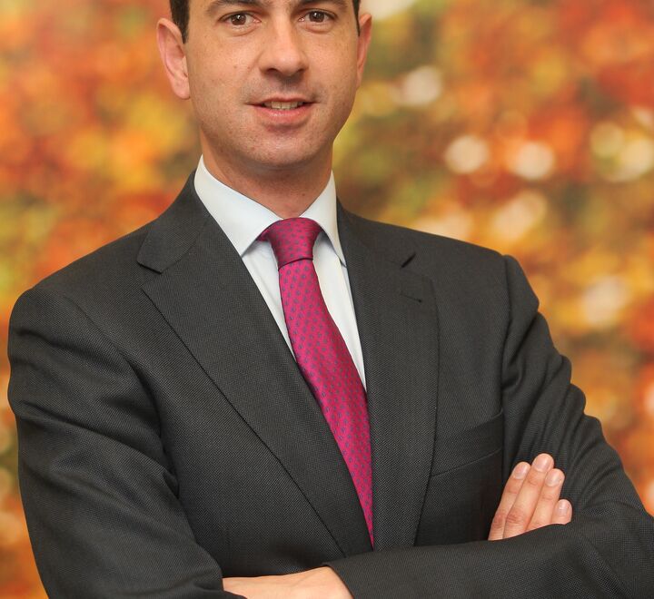 Jose Luis de Cea Naharro Romero