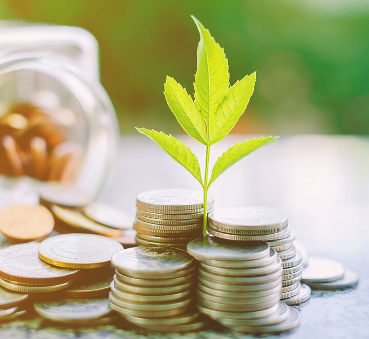 Coins with a green plant standing on the coins.