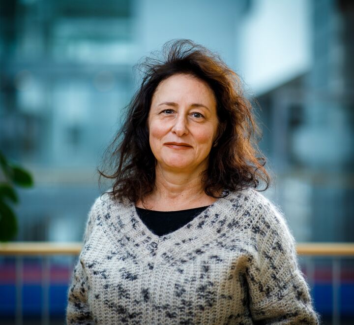 Bilde av foreleser Donatella De Paoli