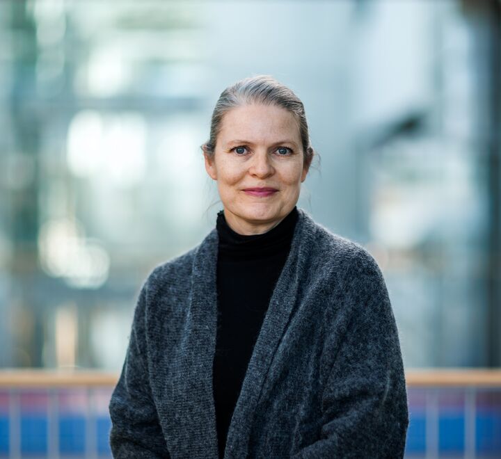 Image of Birgitte Grøgaard