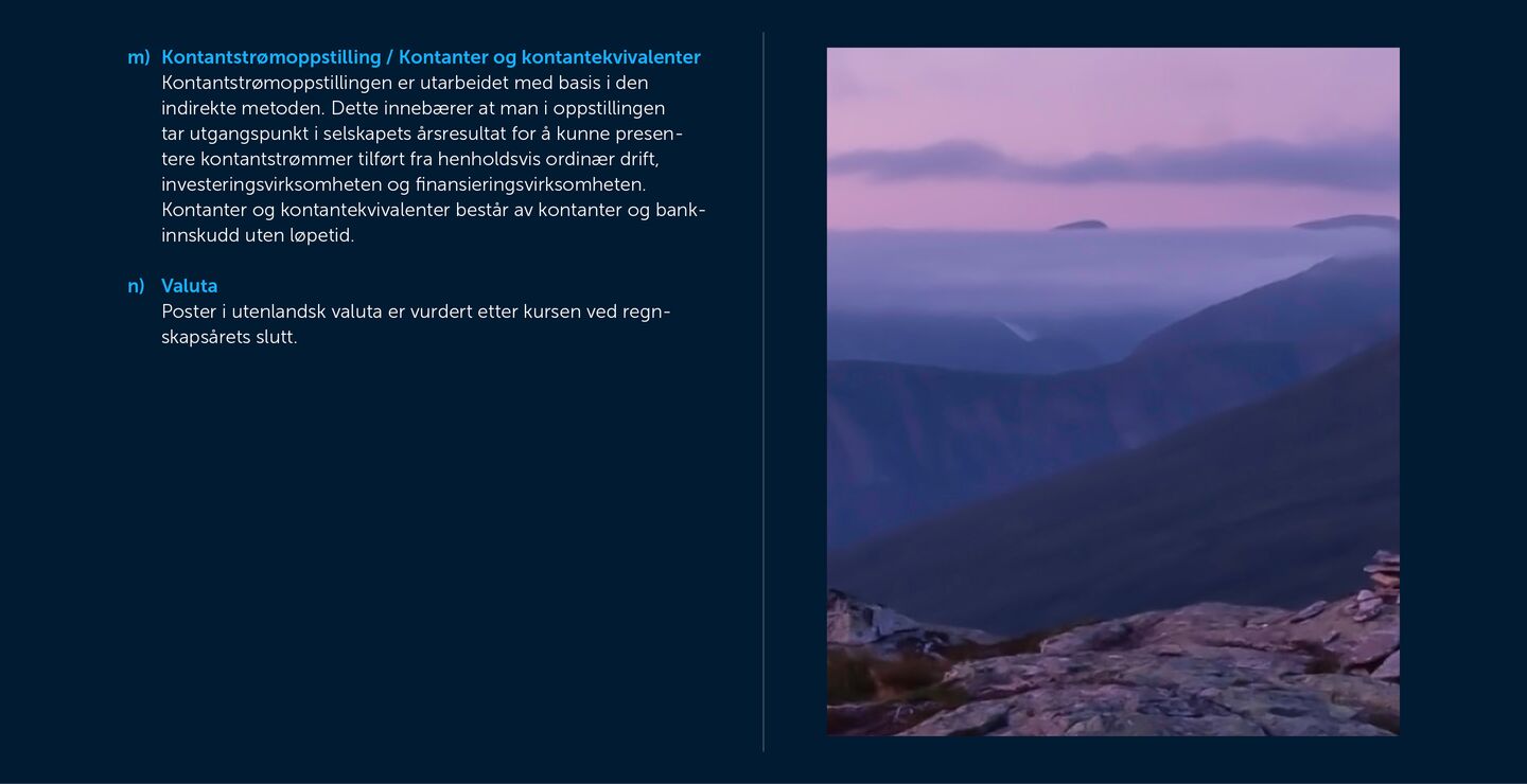 Skjermbilde av noter fra årsregnskapet 2019