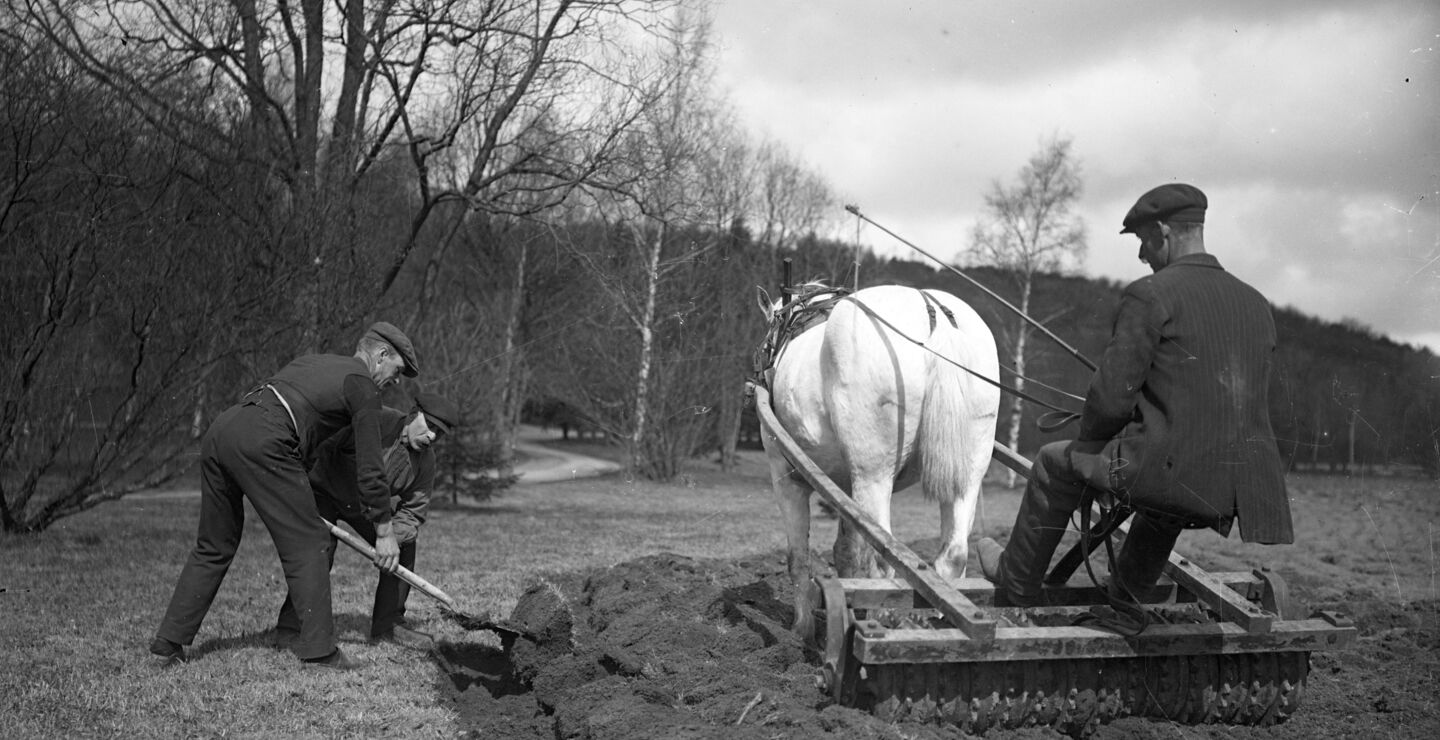 I løpet av 1918 ville Norge være helt avhengig av kornleveranser for å unngå hungersnød. Her fra et gårdsbruk i 1917. (Foto: Kamerareportage/TT).